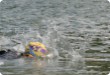 Olympic Triathlon - 2007 - Year, when it was over 30th. (C) in the shade and a block of ice...