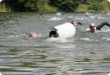 Olympic Triathlon - 2007 - Ročník, kdy bylo přes 30 st. C ve stínu a kostka ledu měla cenu zlata....