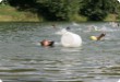 Olympic Triathlon - 2007 - Year, when it was over 30th. (C) in the shade and a block of ice...