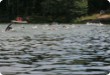 Olympic Triathlon - 2007 - Year, when it was over 30th. (C) in the shade and a block of ice...