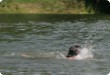 Olympic Triathlon - 2007 - Year, when it was over 30th. (C) in the shade and a block of ice...