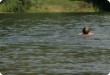 Olympic Triathlon - 2007 - Year, when it was over 30th. (C) in the shade and a block of ice...