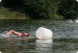 Olympic Triathlon - 2007 - Year, when it was over 30th. (C) in the shade and a block of ice...