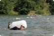 Olympic Triathlon - 2007 - Jahr, als es mehr als 30 war. (C) in Schatten und ein Block des Eises...