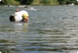 Olympic Triathlon - 2007 - Jahr, als es mehr als 30 war. (C) in Schatten und ein Block des Eises...