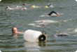 Olympic Triathlon - 2007 - Ročník, kdy bylo přes 30 st. C ve stínu a kostka ledu měla cenu zlata....